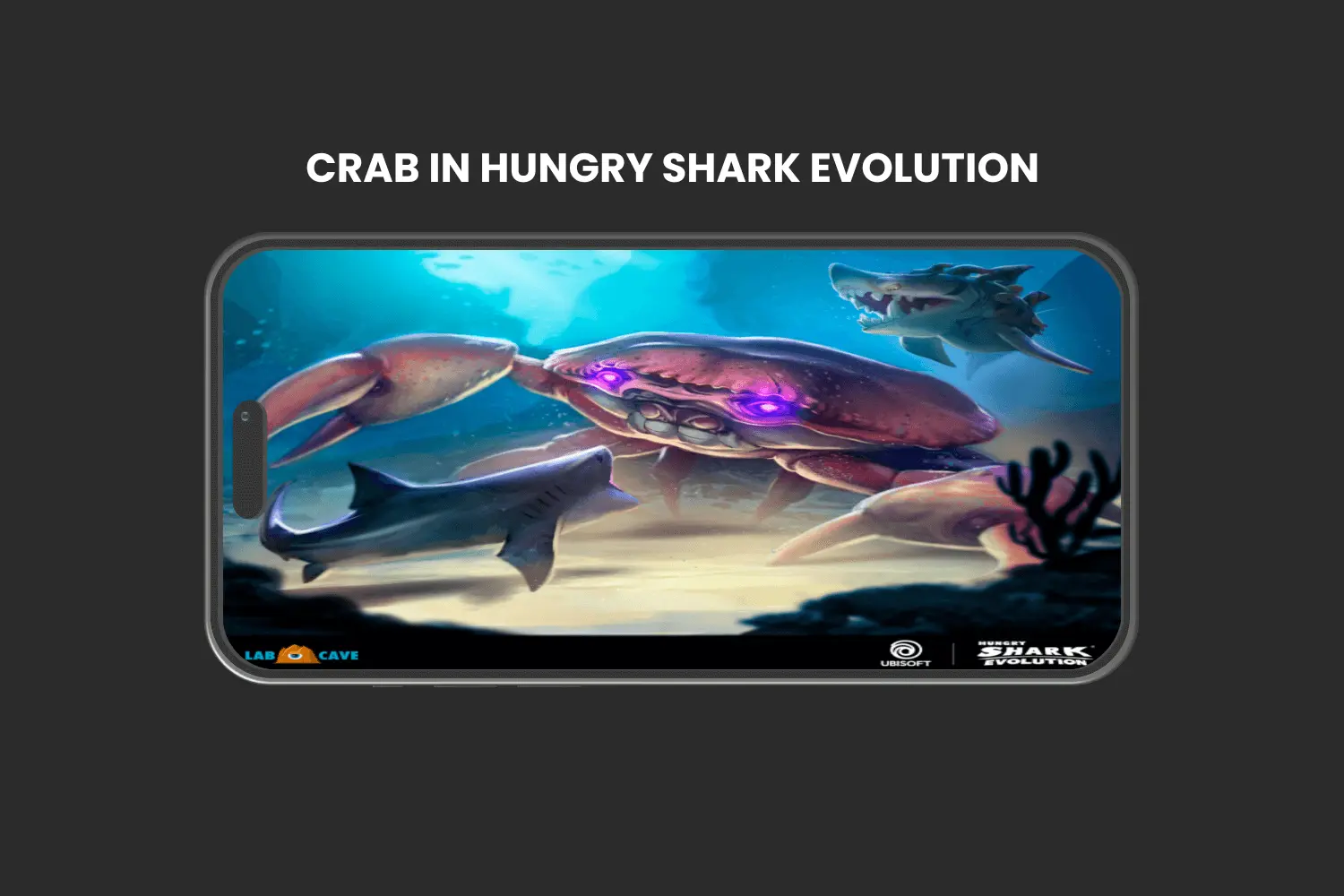 crabs in hungry shark evolution