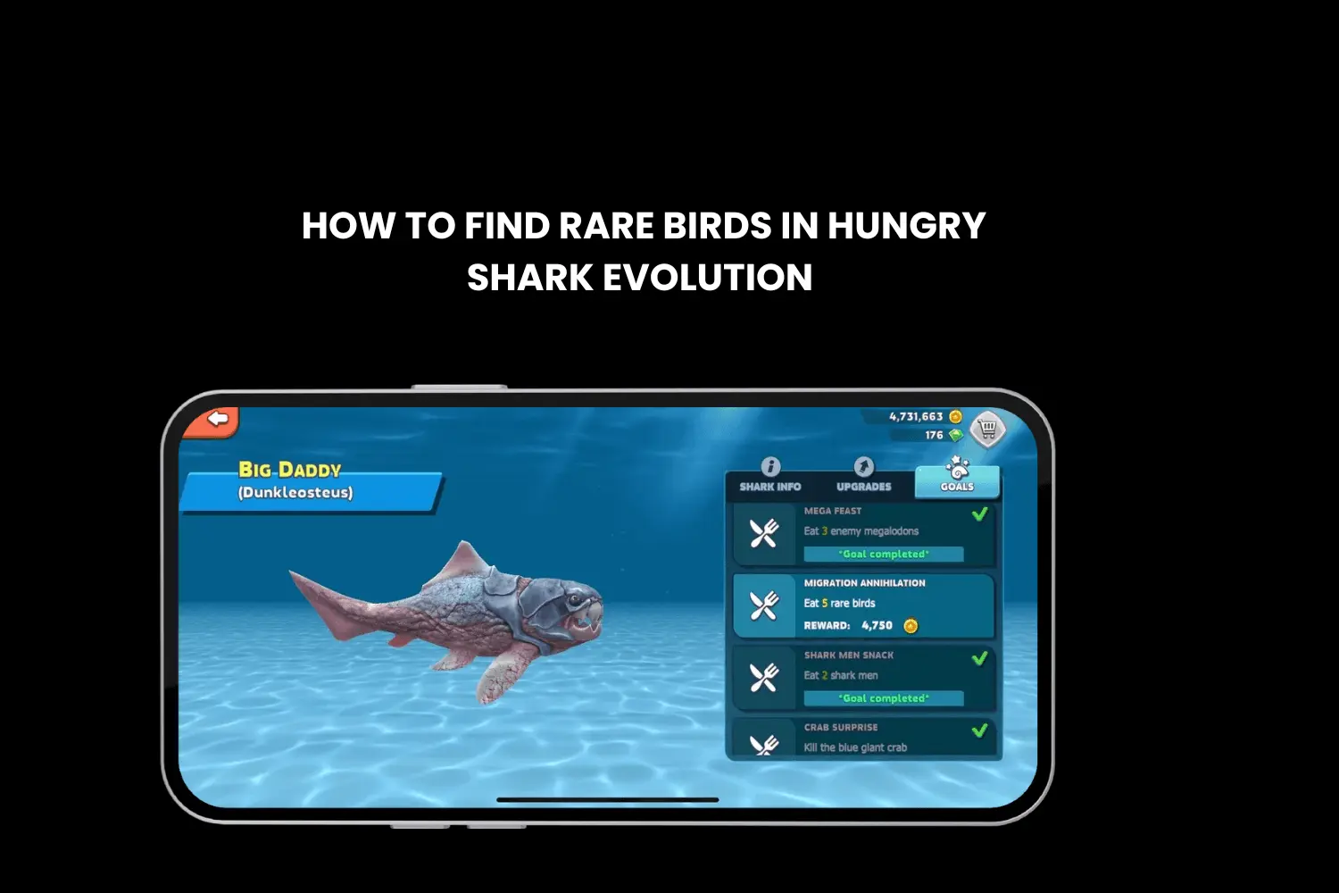 how to find rare birds in hungry shark evolution